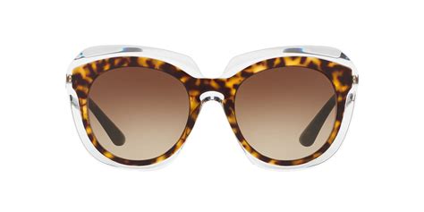 dolce and gabbana sunglasses sunglass hut